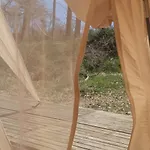 Eco Ceiba *