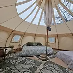 Eco Ceiba Busque