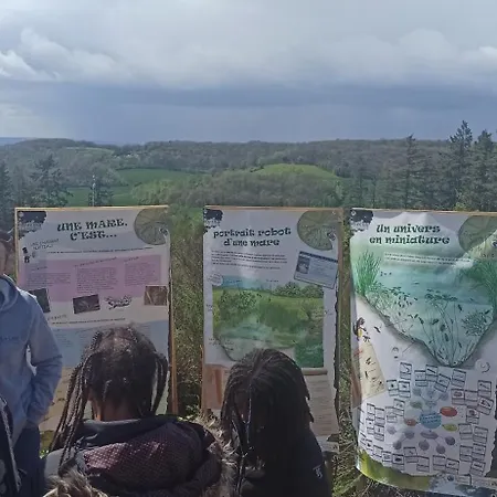 Lüks kamp alanı Eco Ceiba *