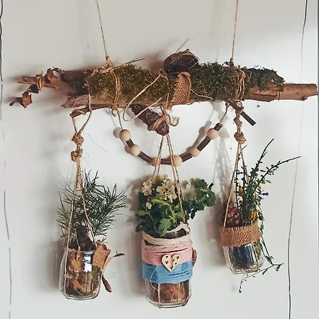 Lüks kamp alanı Eco Ceiba