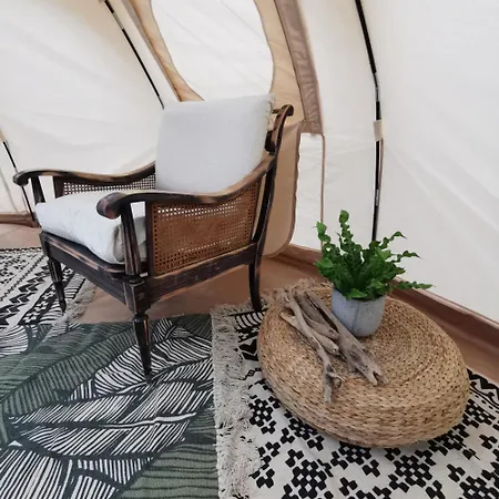 Eco Ceiba Busque
