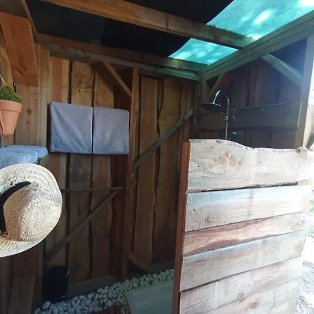 Eco Ceiba Busque