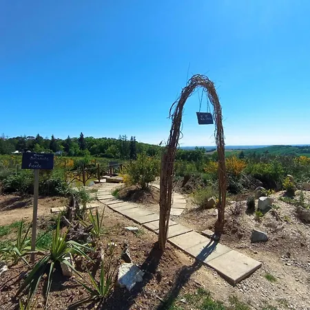 Lüks kamp alanı Eco Ceiba