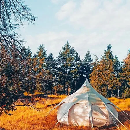 Luxe tent Eco Ceiba Busque