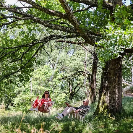 Luxe tent Eco Ceiba *