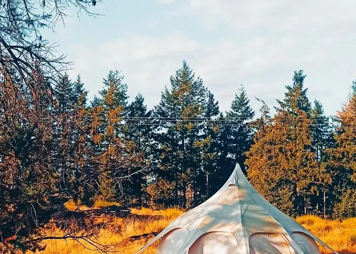 خيمة فخمة Eco Ceiba Busque