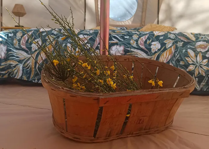 خيمة فخمة Eco Ceiba